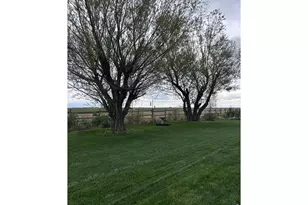 8969 Hwy 52, Wiggins, CO 80654 - Photo 34