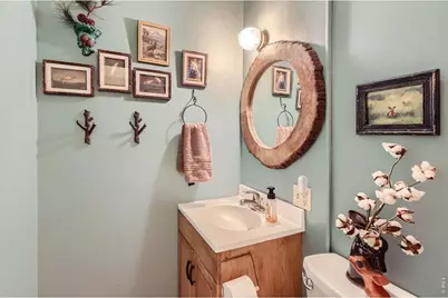 47 Berthoud Dale Ln, Drake, CO 80515 - Photo 20