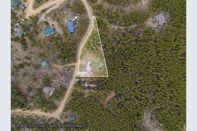 307 Dudes Dr, Rollinsville, CO 80474 - Photo 36