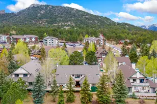1010 S St Vrain Ave, Estes Park, CO 80517 - Photo 24