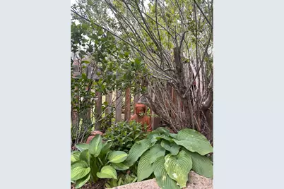 3202 Cripple Creek Trl, Boulder, CO 80305 - Photo 26