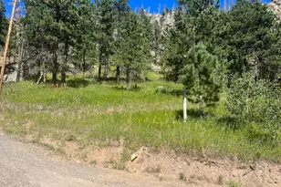 1268 Spring Valley Rd, Bellvue, CO 80512 - Photo 30