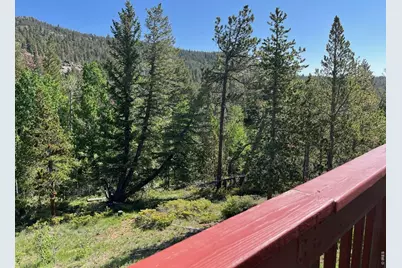 20 Inca Ct, Red Feather Lakes, CO 80545 - Photo 22