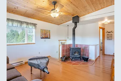 251 Huron Rd, Red Feather Lakes, CO 80545 - Photo 12
