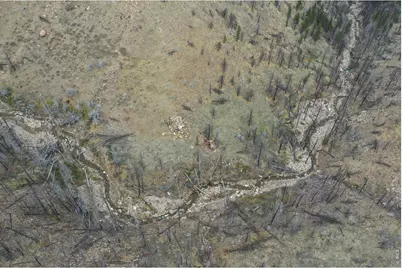 122 Black Hollow Rd, Bellvue, CO 80512 - Photo 20