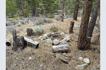 122 Black Hollow Rd, Bellvue, CO 80512 - Photo 8