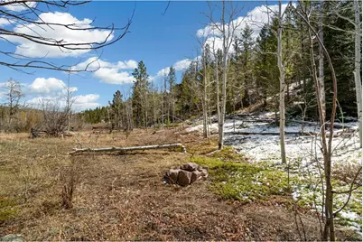 38 Ada Ct, Red Feather Lakes, CO 80545 - Photo 6