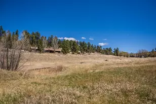 329 Snow Top Dr, Drake, CO 80515 - Photo 38