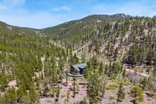 44 Miwok Ct, Red Feather Lakes, CO 80545 - Photo 48