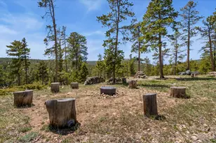44 Miwok Ct, Red Feather Lakes, CO 80545 - Photo 42