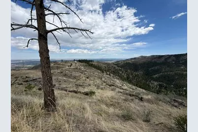 711 Saddle Ridge Rd, Bellvue, CO 80512 - Photo 24