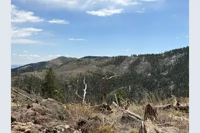 711 Saddle Ridge Rd, Bellvue, CO 80512 - Photo 8