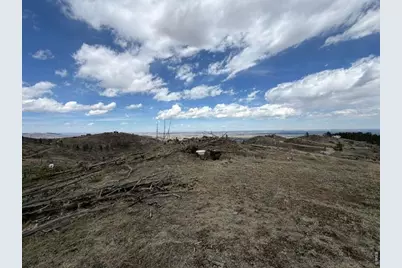 711 Saddle Ridge Rd, Bellvue, CO 80512 - Photo 6