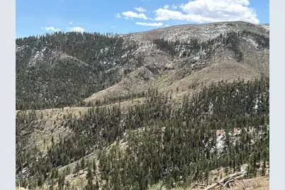 711 Saddle Ridge Rd, Bellvue, CO 80512 - Photo 16