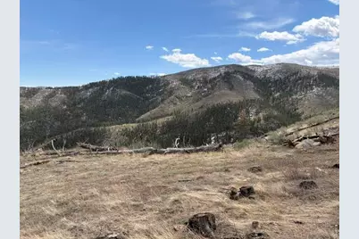 711 Saddle Ridge Rd, Bellvue, CO 80512 - Photo 20