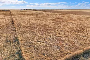 41219 Co Rd 84, Briggsdale, CO 80611 - Photo 10