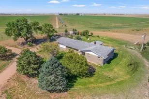 19487 Co Rd 6, Wiggins, CO 80654 - Photo 6