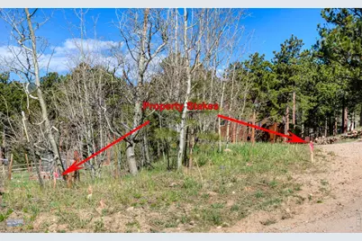 87 Sundance Cir, Nederland, CO 80466 - Photo 4