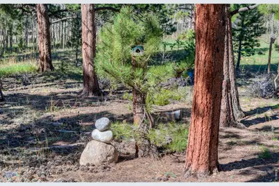 87 Sundance Cir, Nederland, CO 80466 - Photo 12