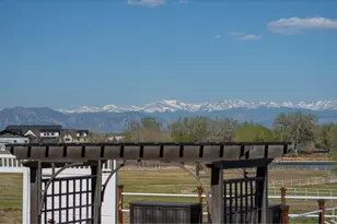 14447 Madison St, Thornton, CO 80602 - Photo 10