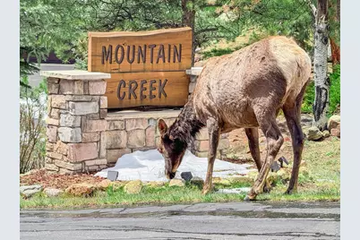 262 Steamer Ct, Estes Park, CO 80517 - Photo 2