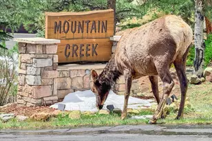 262 Steamer Ct, Estes Park, CO 80517 - Photo 2