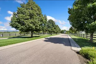 3905 Raptor Ct, Fort Collins, CO 80528 - Photo 42