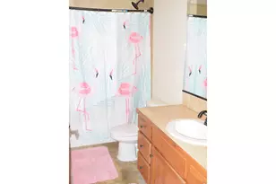4400 Paintbrush Dr, Evans, CO 80620 - Photo 20