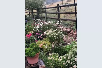 17284 W County Road 74E Hwy, Red Feather Lakes, CO 80545 - Photo 40