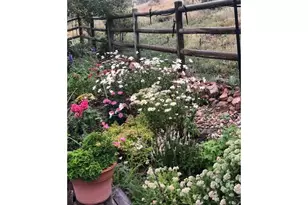 17284 W County Road 74E Hwy, Red Feather Lakes, CO 80545 - Photo 40