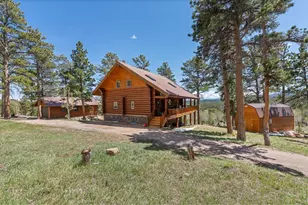 24 Sarsi Ct, Red Feather Lakes, CO 80545 - Photo 38