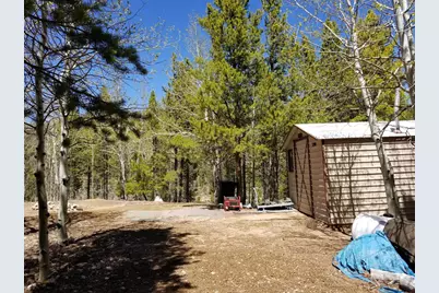 3200 Ottawa Way, Red Feather Lakes, CO 80545 - Photo 16