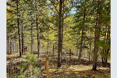3200 Ottawa Way, Red Feather Lakes, CO 80545 - Photo 14