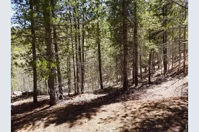 3200 Ottawa Way, Red Feather Lakes, CO 80545 - Photo 20