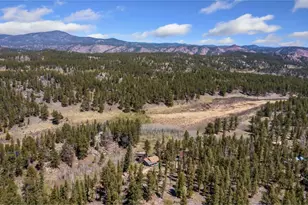 151 Columbine Dr, Red Feather Lakes, CO 80545 - Photo 38