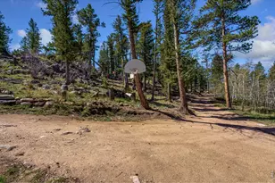151 Columbine Dr, Red Feather Lakes, CO 80545 - Photo 30