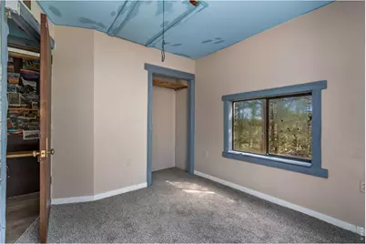 151 Columbine Dr, Red Feather Lakes, CO 80545 - Photo 24