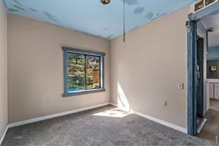 151 Columbine Dr, Red Feather Lakes, CO 80545 - Photo 22