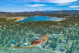 80 Walela Ln, Red Feather Lakes, CO 80545 - Photo 12