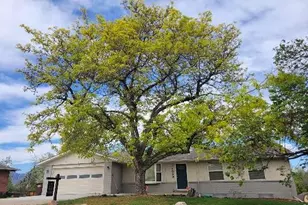 1013 Ravenwood Rd, Boulder, CO 80303 - Photo 2