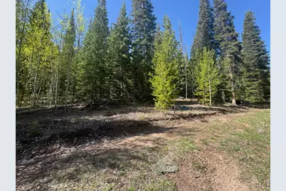 44 Wilderness Rd, Walden, CO 80480 - Photo 1