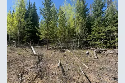 44 Wilderness Rd, Walden, CO 80480 - Photo 6