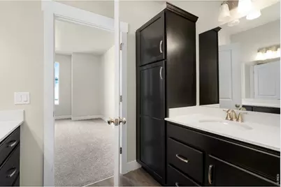 6793 Maple Leaf Dr #201, Timnath, CO 80547 - Photo 14