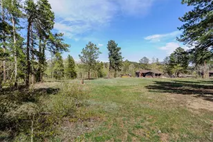 104 Co Rd 90, Allenspark, CO 80510 - Photo 32
