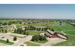 6224 Vernazza Way, Windsor, CO 80550 - Photo 36