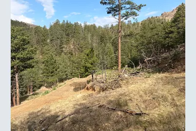 1899 Spring Valley Rd, Bellvue, CO 80512 - Photo 34