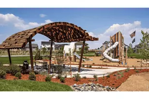 842 Trumpet Ln, Windsor, CO 80550 - Photo 48
