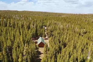 10000 Forest Rd 169, Red Feather Lakes, CO 80545 - Photo 20