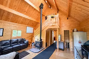 10000 Forest Rd 169, Red Feather Lakes, CO 80545 - Photo 4
