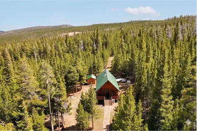 10000 Forest Rd 169, Red Feather Lakes, CO 80545 - Photo 22